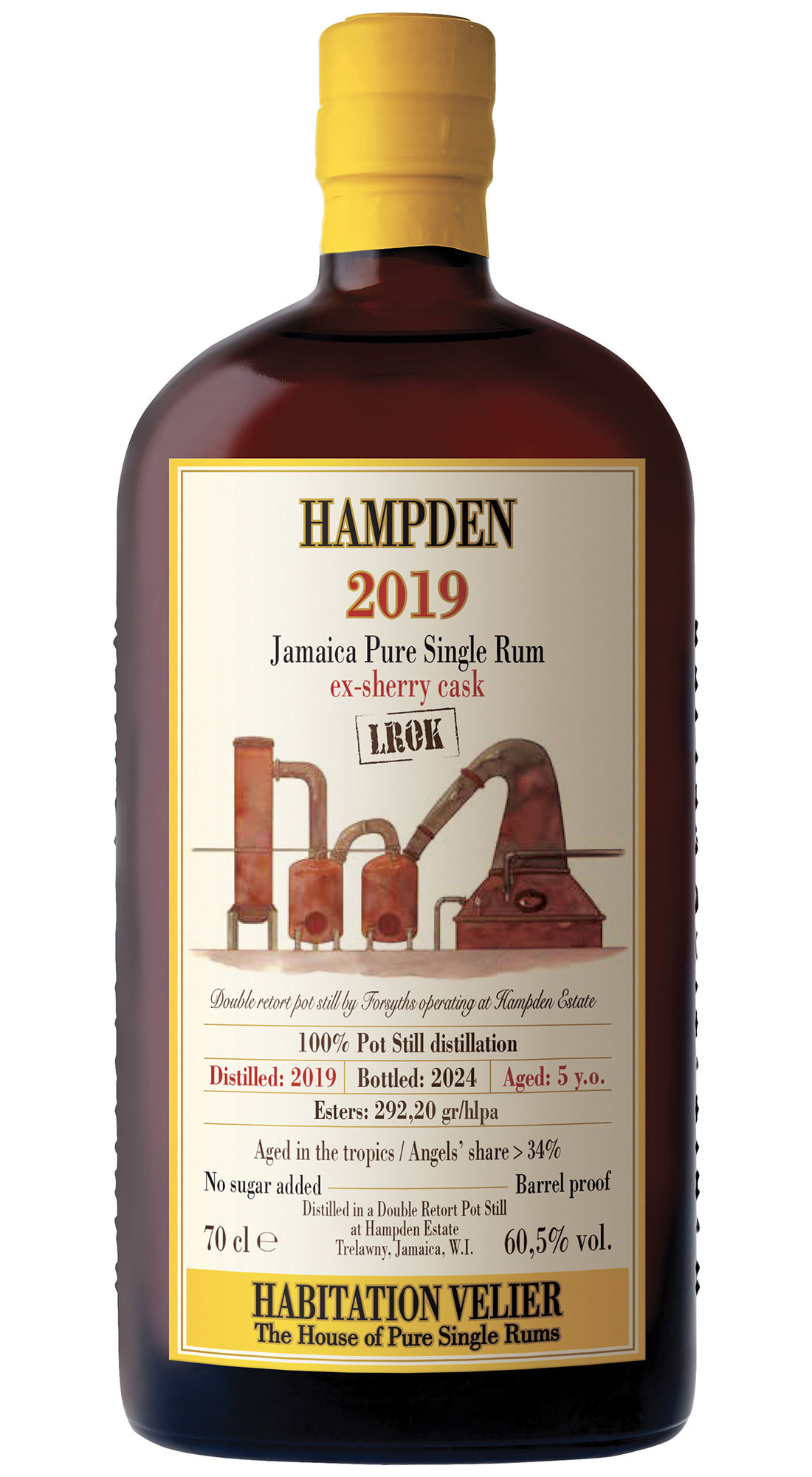 HAMPDEN 2019 60,5&deg;