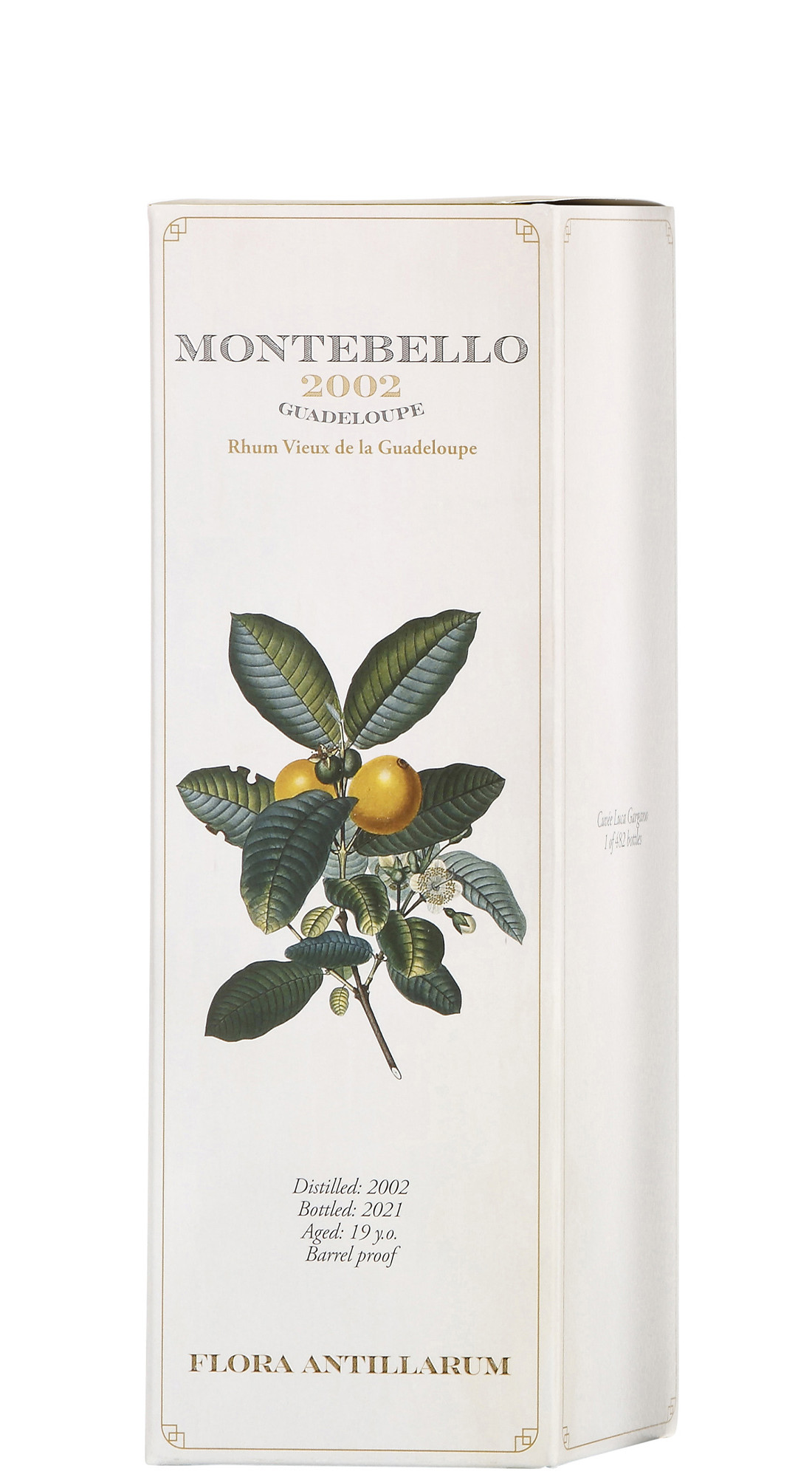 Flora Antillarum Montebello 19 Y.O. 2002