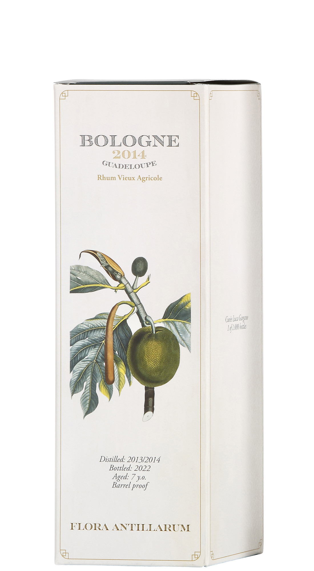 Flora Antillarum Bologne 7 Y.O 2014