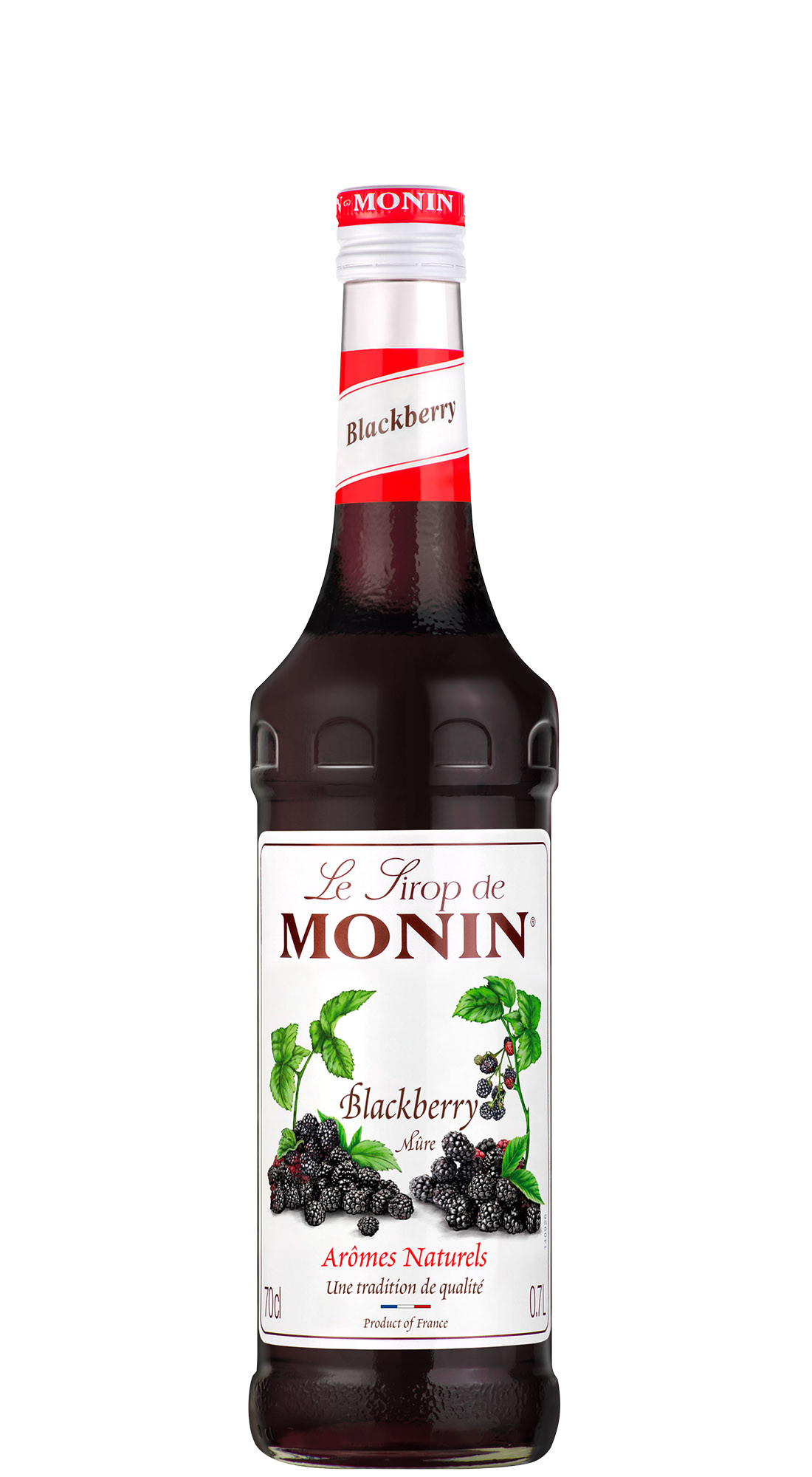 Monin Sciroppo Mora