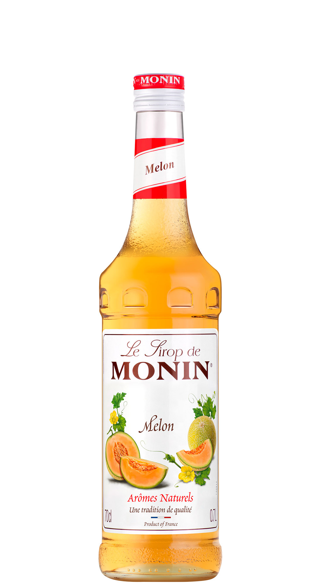 Monin Sciroppo Melone