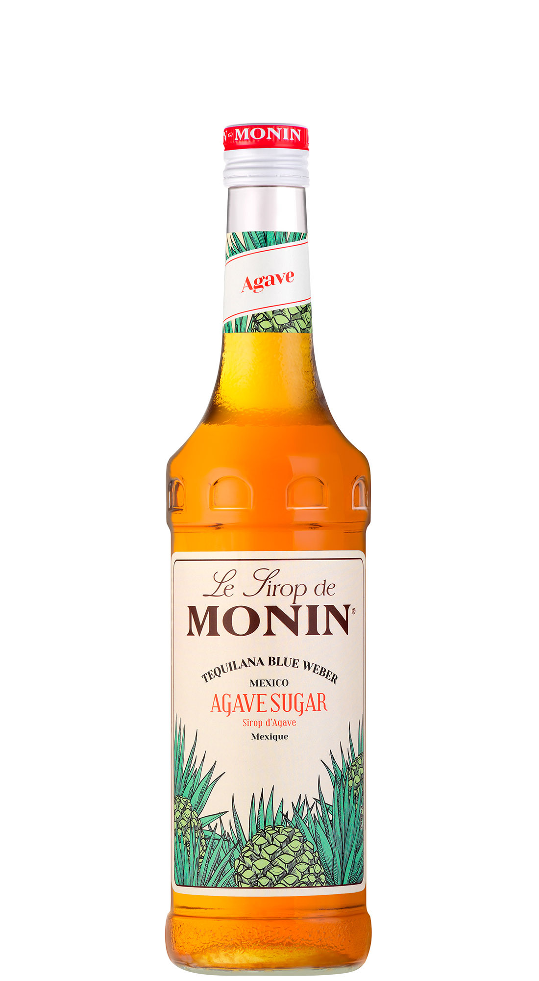 Monin Sciroppo Agave