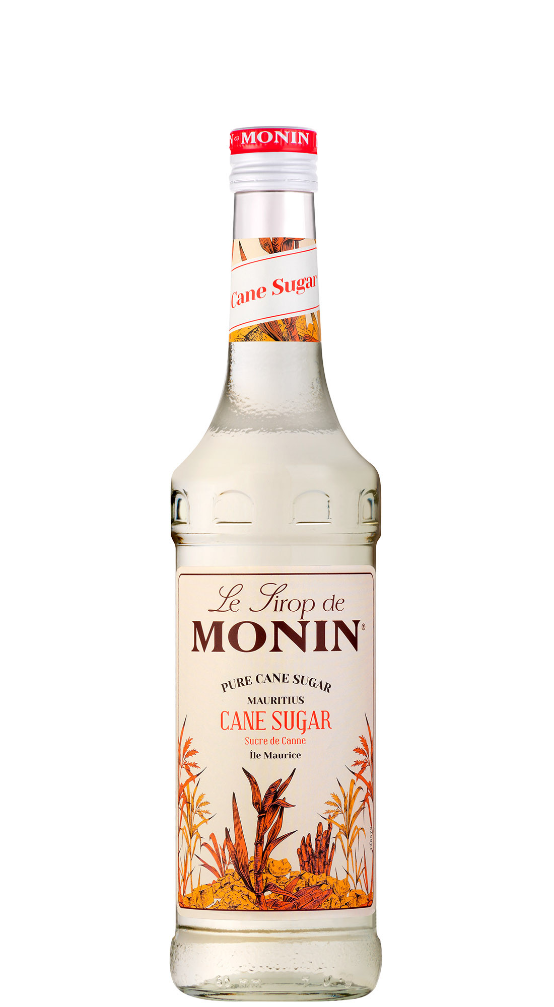Monin Sciroppo Zucchero Di Canna
