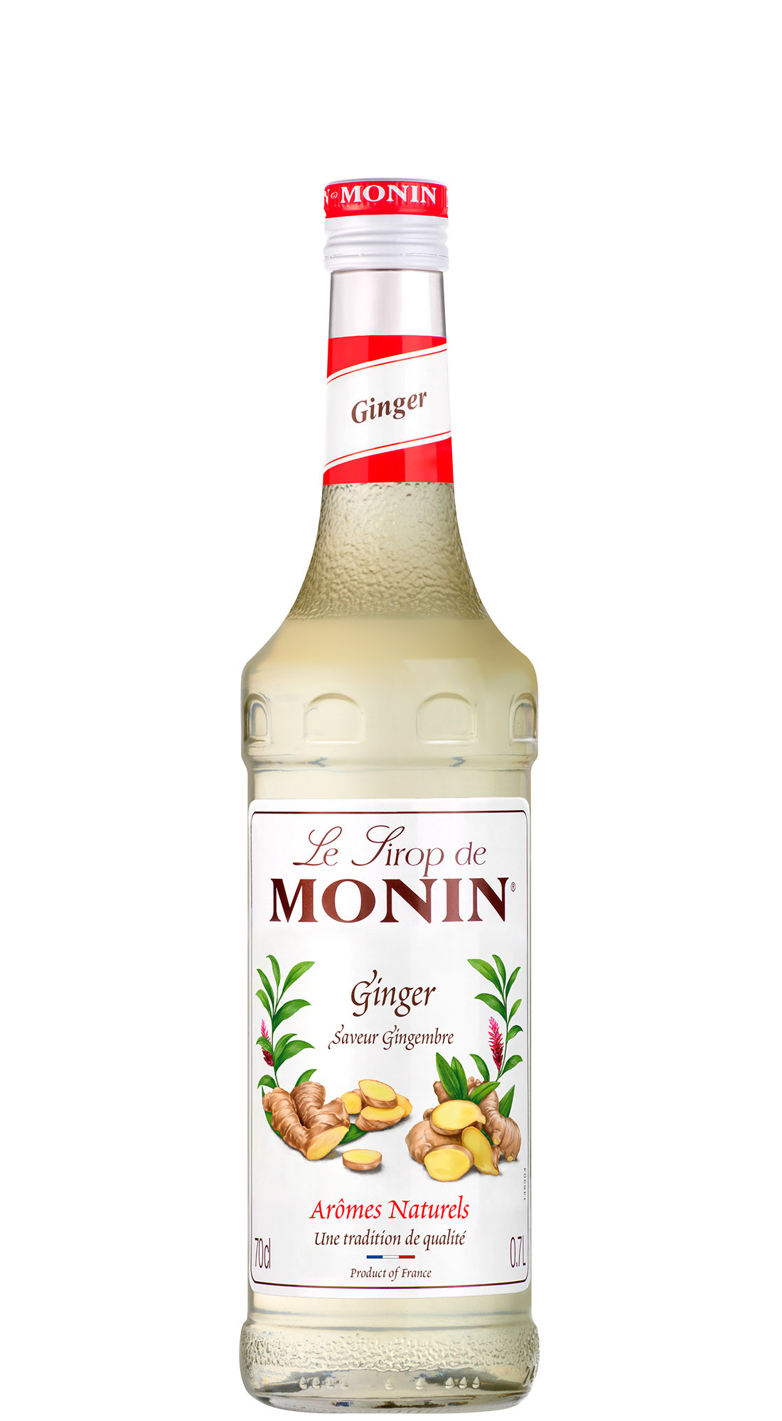 Monin Sciroppo Zenzero
