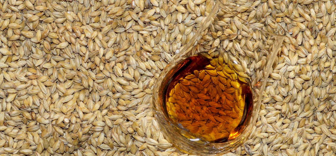 Single Grain