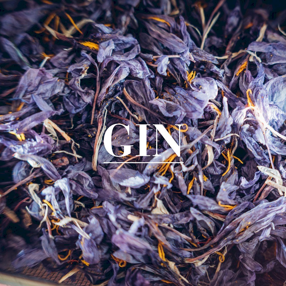 Gin
