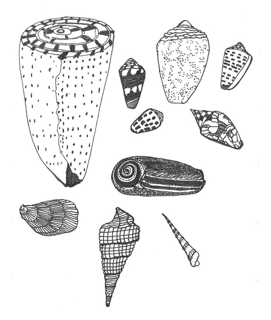 Velier