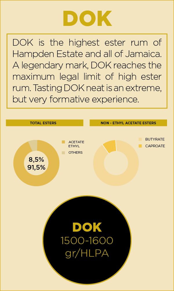 DOK.jpg