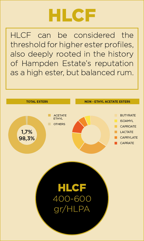 HLCF.jpg