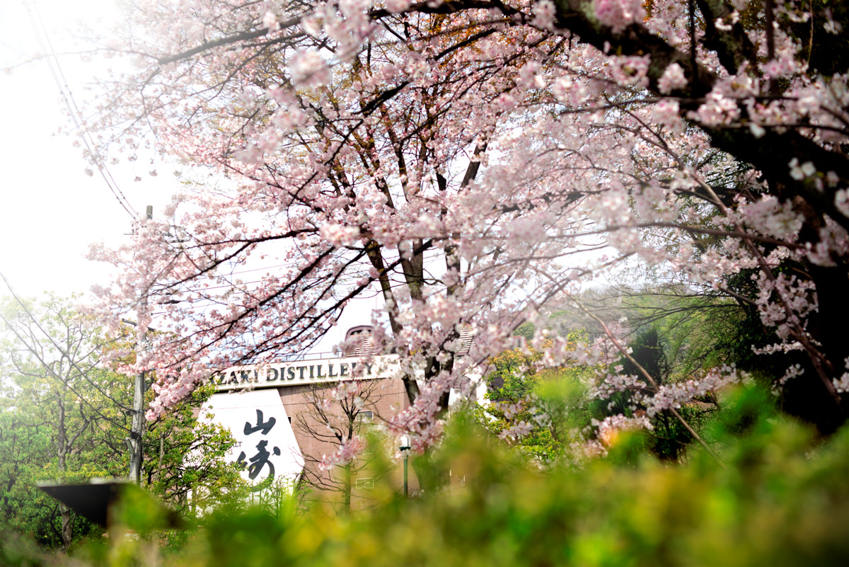 yoichi distillery