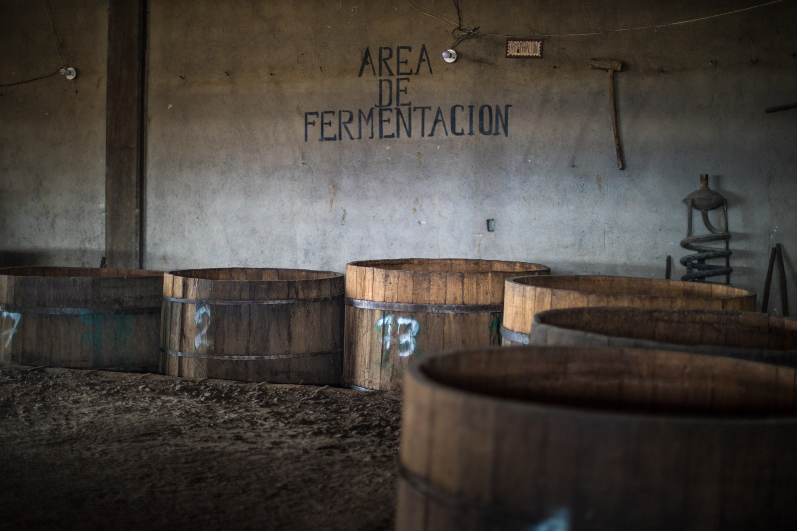 fermentazione.jpg