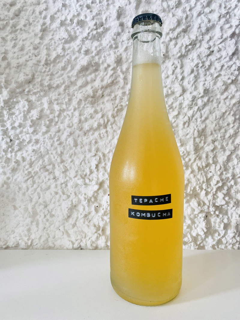 kombucha