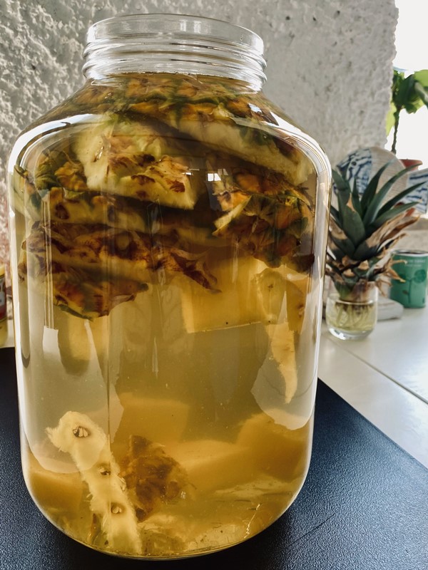 kombucha