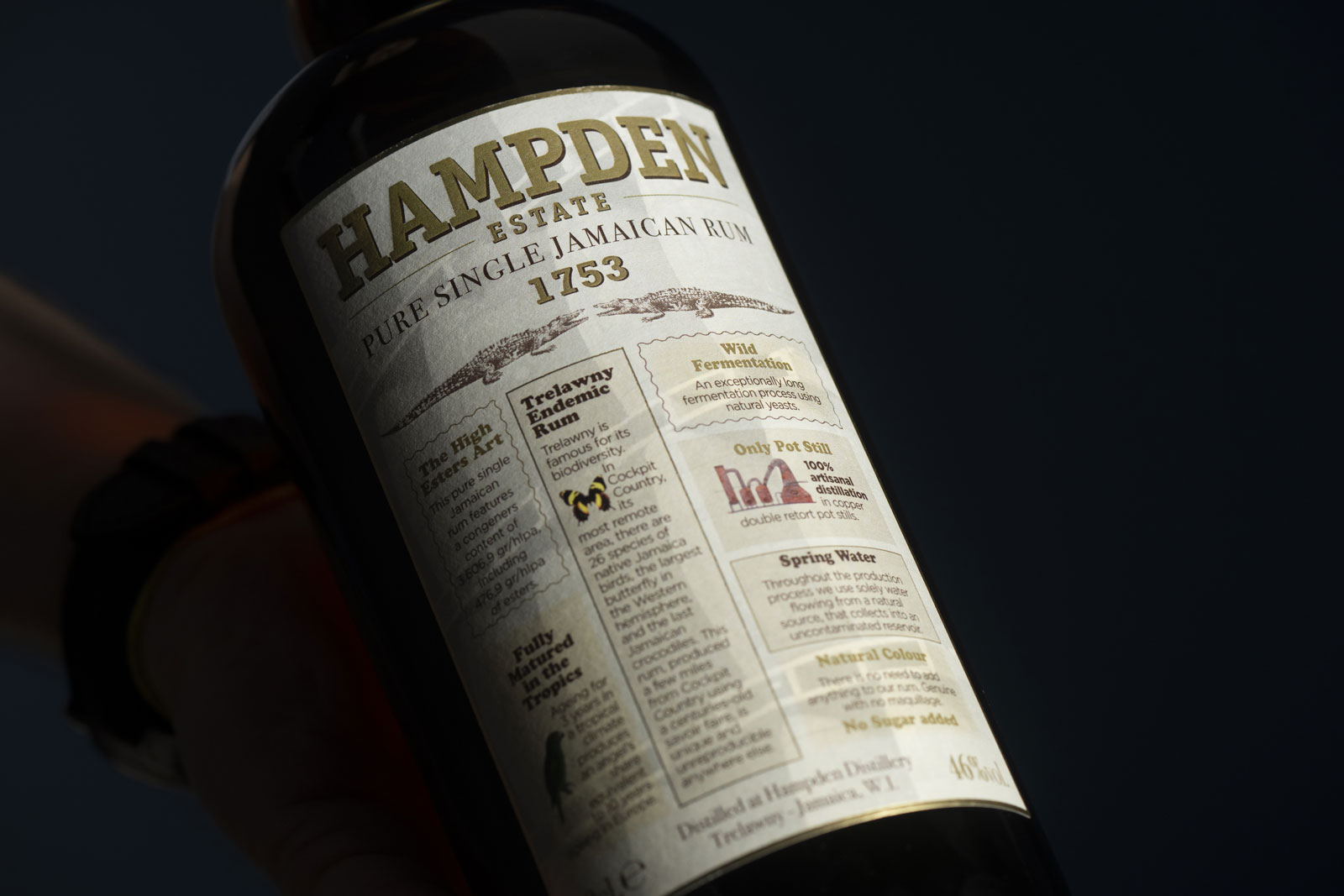hampden 1753