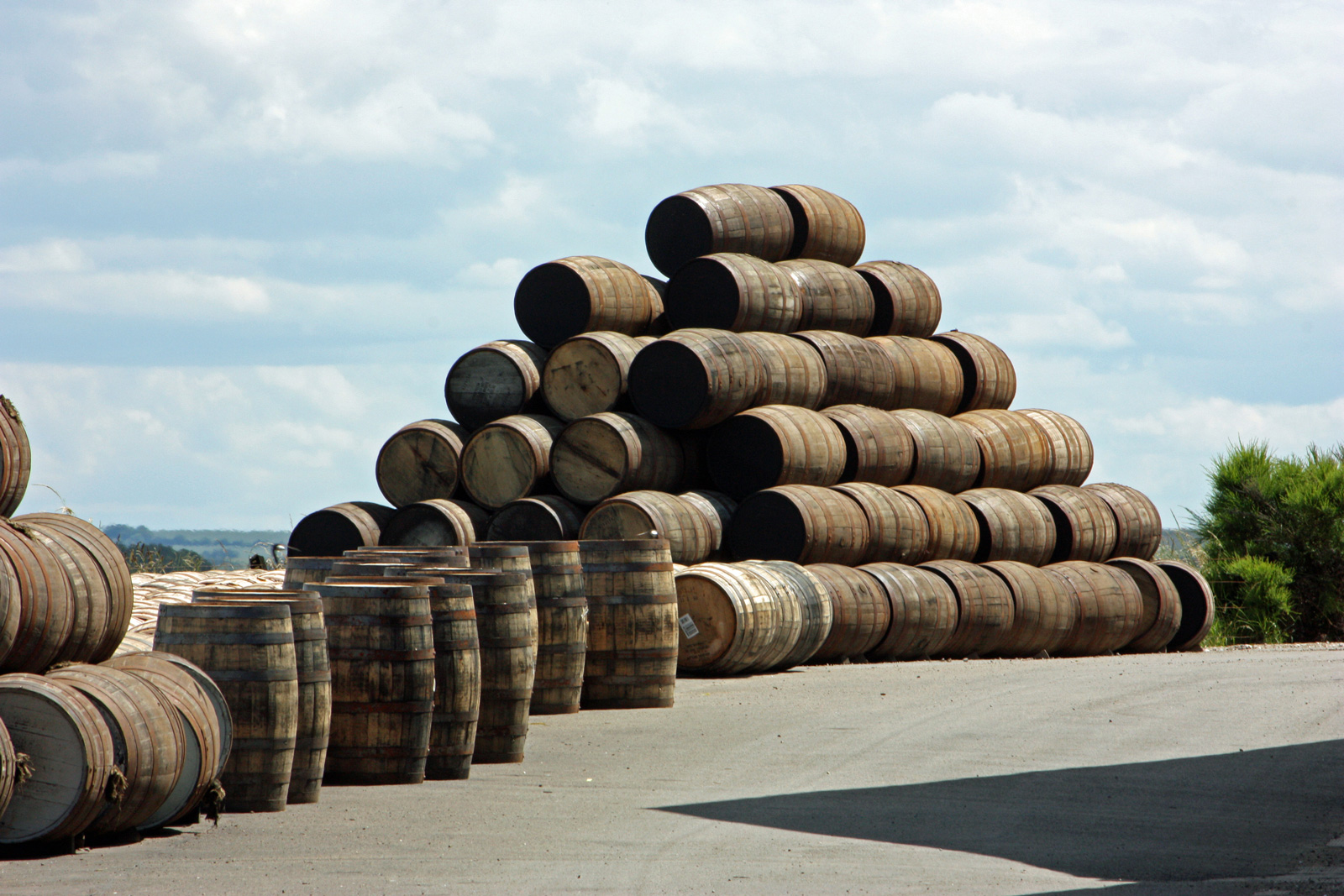 clima-whisky-3.jpg