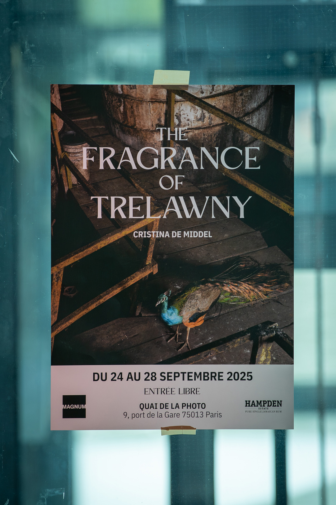 the-fragrance-of-trelawny.jpg