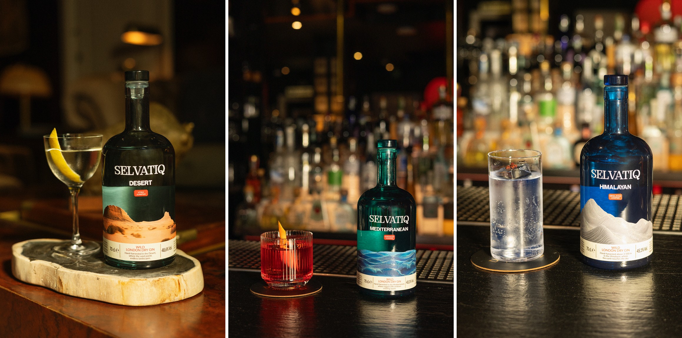 header-FOTO-3-GIN-SELVATIQ-1920.jpg