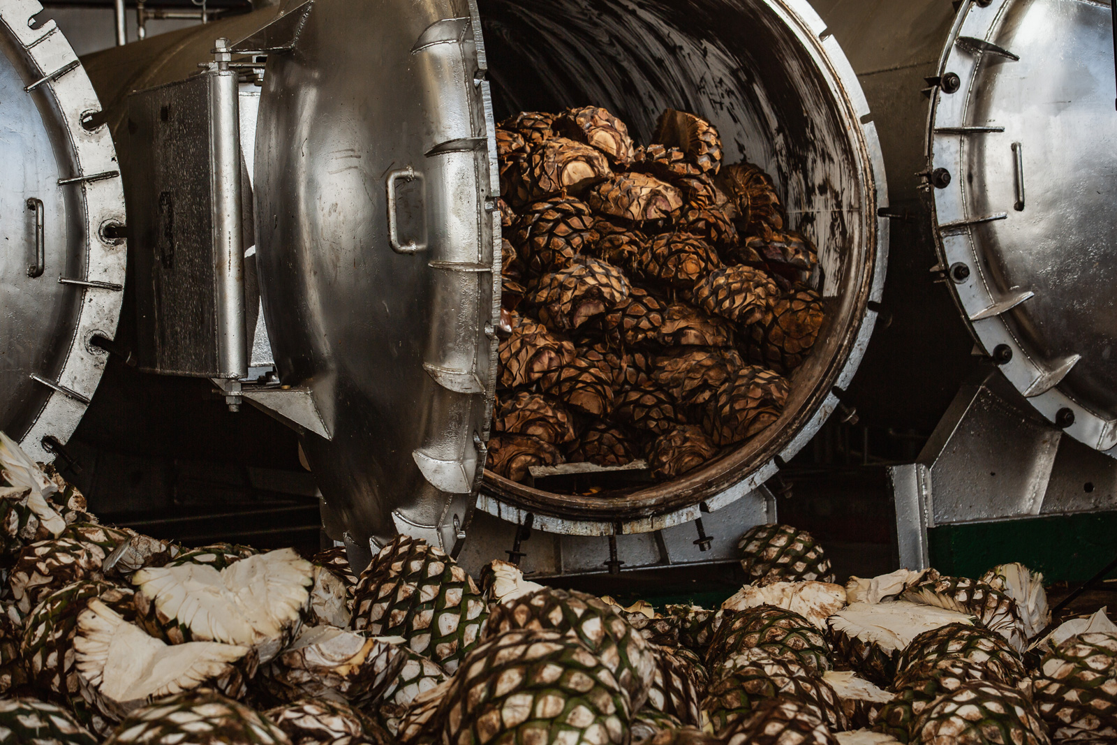 el-tequileno-agave.jpg