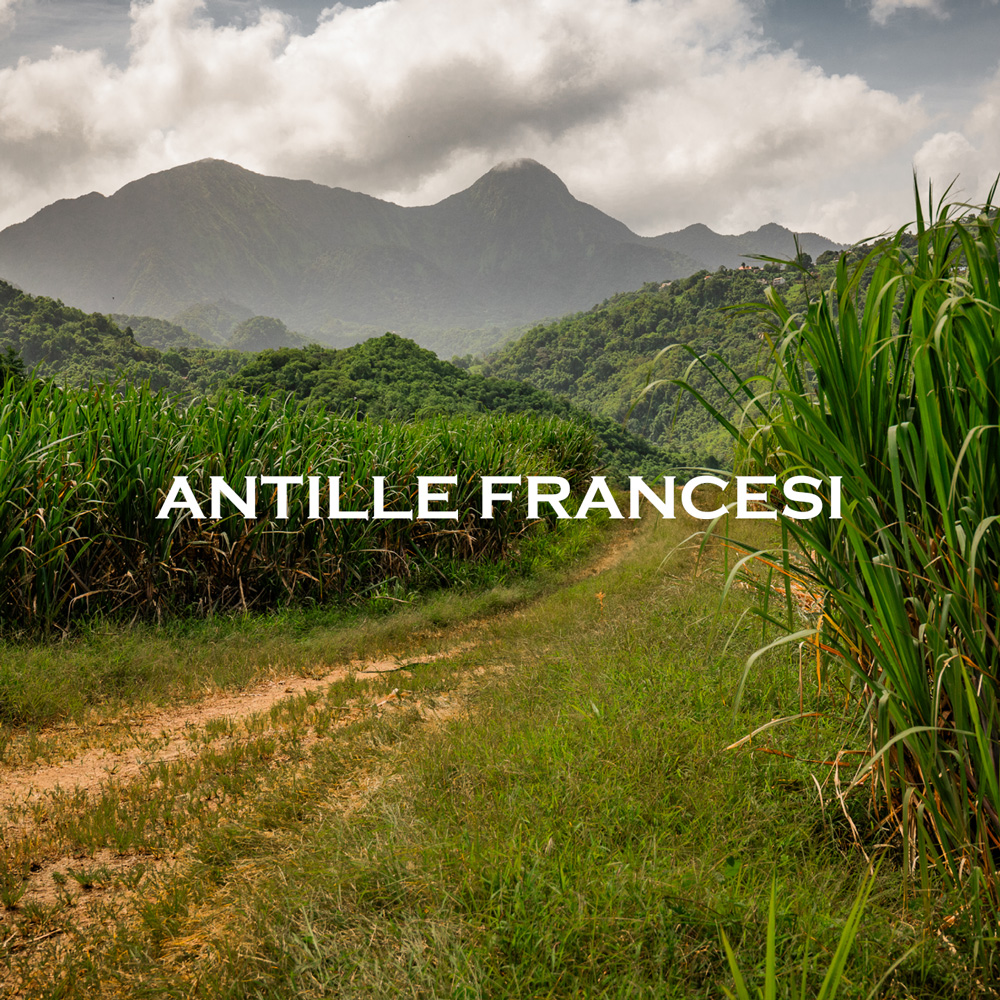 Antille francesi